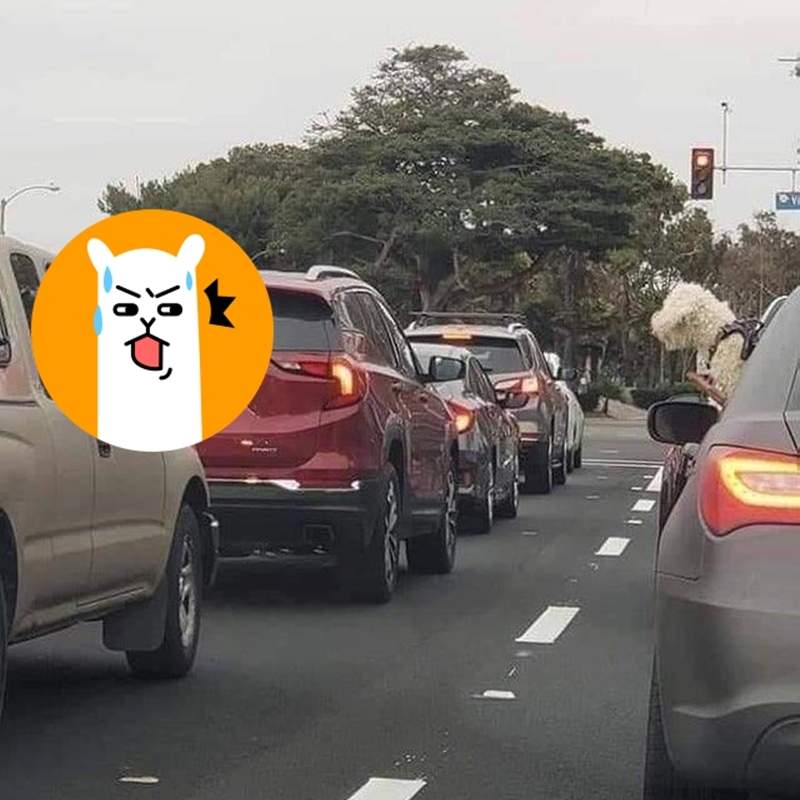 馬路萌景《在車窗外炫耀的狗》咬著OO跟隔壁台車的狗各種炫耀w 馬路萌景《在車窗外炫耀的狗》咬著OO跟隔壁台車的狗各種炫耀w