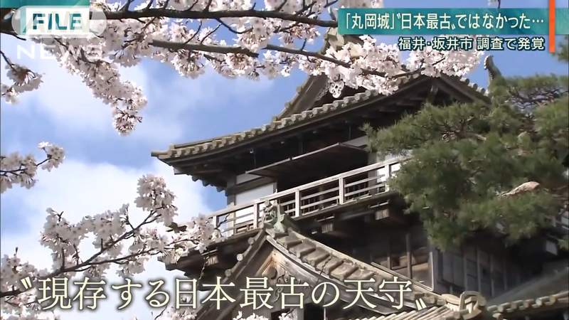 《日本古城丸岡城》天守驚爆不是日本最古老 觀光宣傳都要大改特改了…… 《日本古城丸岡城》天守驚爆不是日本最古老 觀光宣傳都要大改特改了……
