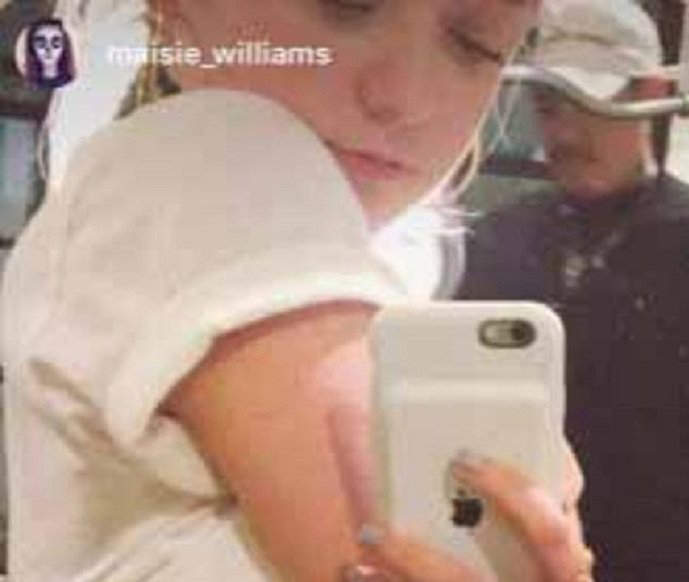 冰與火之歌《麥茜威廉士的日文刺青》「生き甲斐」是什麼意思呢？