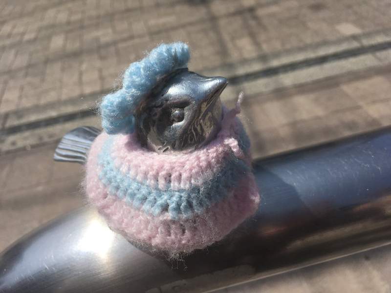 地方媽媽超溫暖《替公園欄杆上的小鳥模型做毛衣》精緻小巧看上去超暖超可愛 地方媽媽超溫暖《替公園欄杆上的小鳥模型做毛衣》精緻小巧看上去超暖超可愛