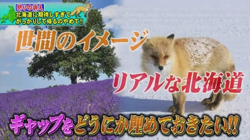 《北海道民吐槽觀光客》每個人都擅自幻想又擅自失望 大自然才沒有想像的那麼美好…… 《北海道民吐槽觀光客》每個人都擅自幻想又擅自失望 大自然才沒有想像的那麼美好……
