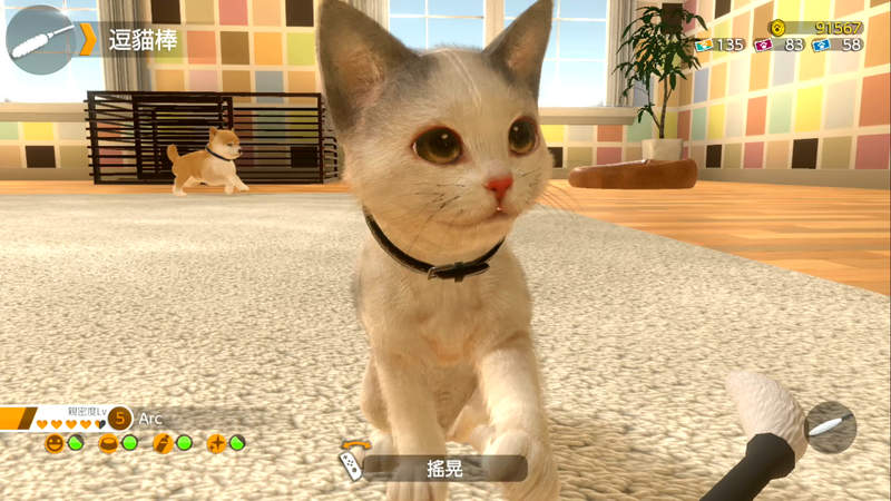 【有片】Switch《小小伙伴 - 狗狗 & 貓貓 -》超萌寵物模擬養成遊戲,繁中官網釋出更多情報 【有片】Switch《小小伙伴 - 狗狗 & 貓貓 -》超萌寵物模擬養成遊戲,繁中官網釋出更多情報