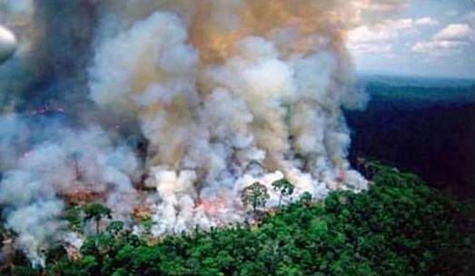 《亞馬遜雨林森林大火》引發關注 但網路瘋傳照片 都不是來自這次火災...
