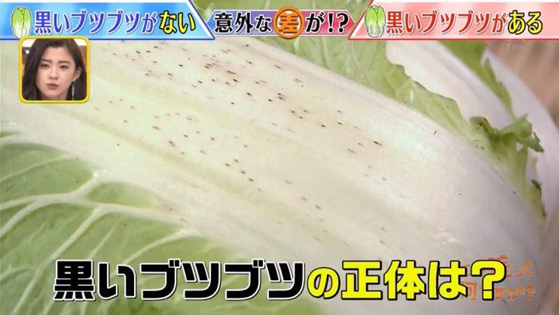 《白菜上的小黑點》醬菜老店呼籲千萬別慌張 那是營養成分絕不是壞掉……