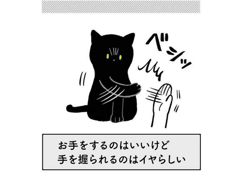 《訓練貓咪握手奮鬥記》試過各種方法之後找出的解決之道原來是? 《訓練貓咪握手奮鬥記》試過各種方法之後找出的解決之道原來是?