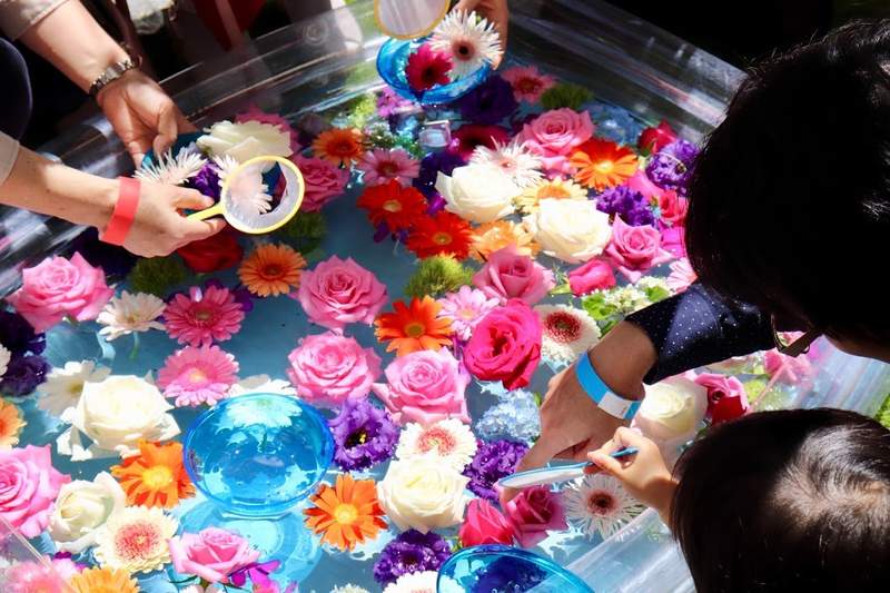 《日本祭典遊戲進化》撈金魚和吊水球悄悄被鮮花取代 《日本祭典遊戲進化》撈金魚和吊水球悄悄被鮮花取代