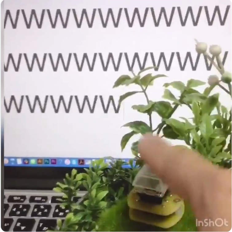 草不可避《草專用按鈕》按下就生草,網路用語「w」為你種出整片大草原www 草不可避《草專用按鈕》按下就生草,網路用語「w」為你種出整片大草原www