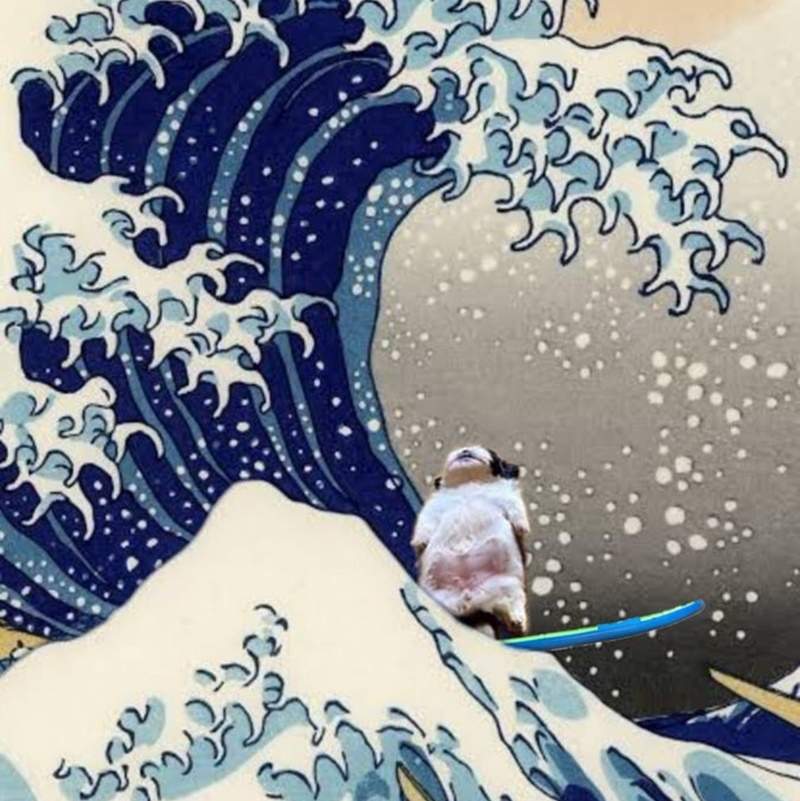 《隨時隨地屍體化的狗》太夯變成惡搞圖 這次狗狗真的睡遍世界各地了w 《隨時隨地屍體化的狗》太夯變成惡搞圖 這次狗狗真的睡遍世界各地了w