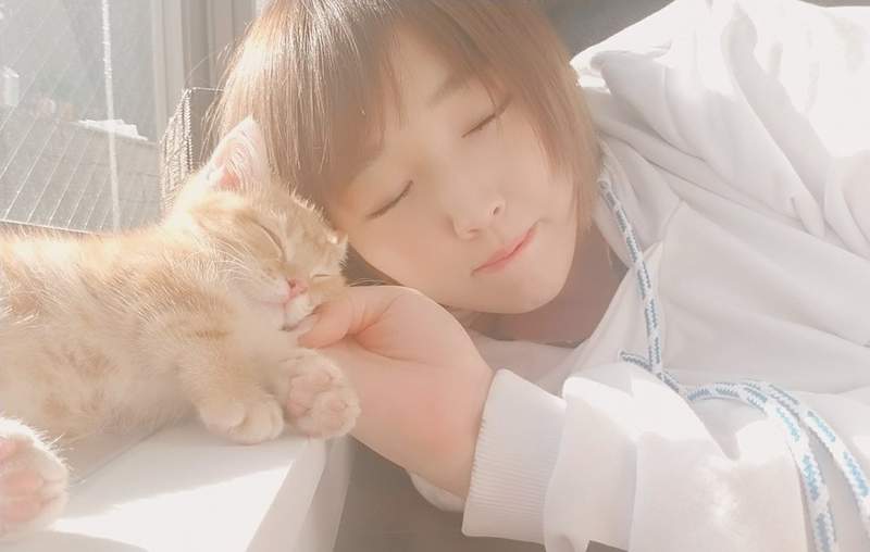 有貓就推《2018年度貓咪話題排行榜》巨乳夾貓神技讚!2018熱門擼貓話題(=^・ω・^=)丿 有貓就推《2018年度貓咪話題排行榜》巨乳夾貓神技讚!2018熱門擼貓話題(=^・ω・^=)丿