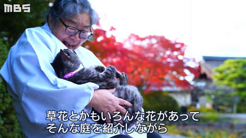 《貓奴聖地梅宮大社》渴望捕捉喵星人與紅葉之美 但是模特兒隨心所欲超困難……