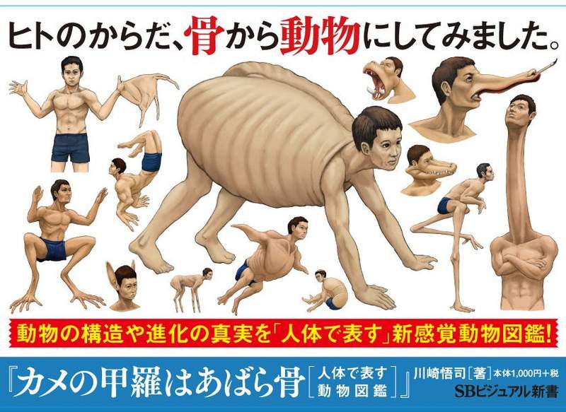 《用人體表現的動物圖鑑》如果人類跟動物骨骼構造一樣,這些動物就會長這樣... 《用人體表現的動物圖鑑》如果人類跟動物骨骼構造一樣,這些動物就會長這樣...