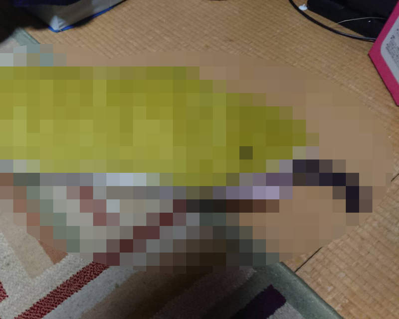 推特瘋傳《被蛇吃掉的貓》第一次看到被吃掉還這麼舒服的表情ww