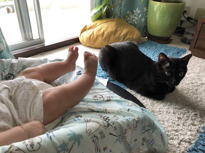 《輪班制的保母貓》身為這個家的先住民，照顧後進的嬰兒是我們的職責