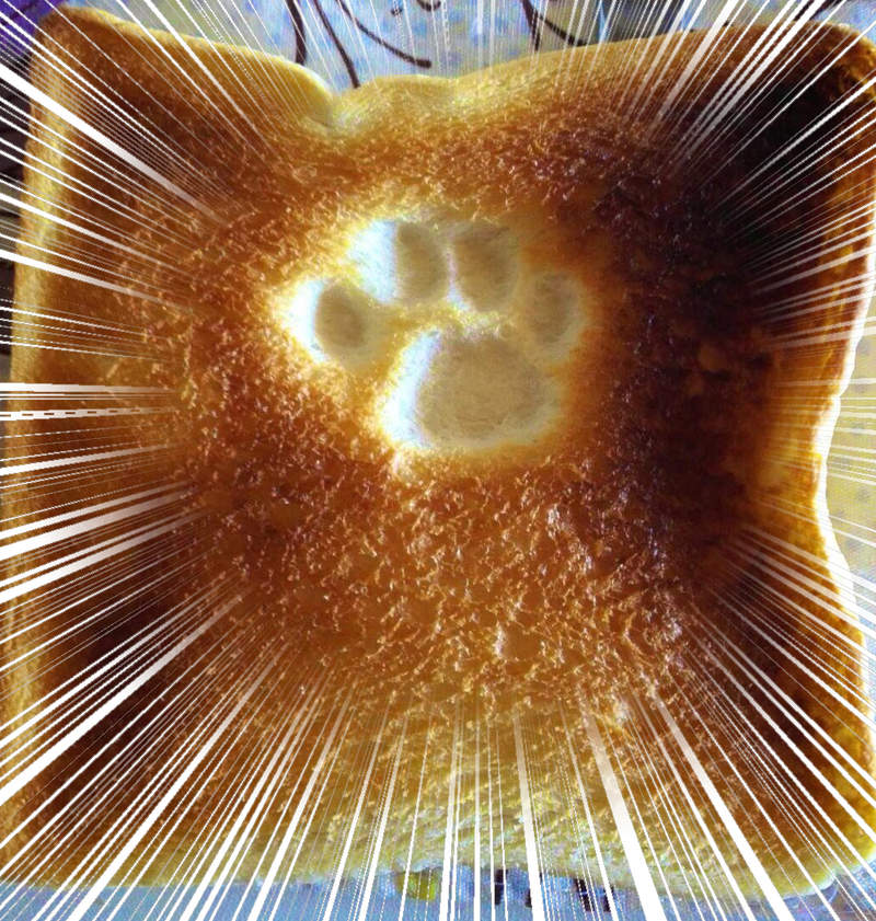 純天然製造《貓肉球吐司》被貓踐踏過吃起來是否帶有濃濃貓味？（欸）