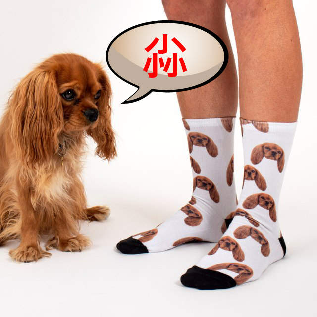 自戀的你絕對會喜歡的《印滿自己帥臉的襪子》其實我每天早上都會被我自己給帥醒