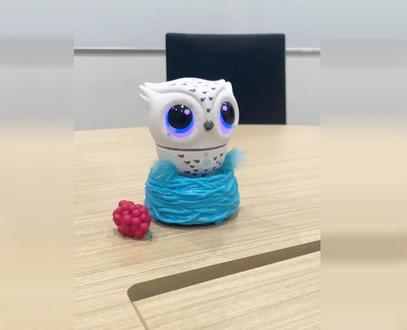 日本推出《飛起來了我不要貓頭鷹玩具》網友一看這威力根本血滴子18+了吧(゚Д゚;) 日本推出《飛起來了我不要貓頭鷹玩具》網友一看這威力根本血滴子18+了吧(゚Д゚;)