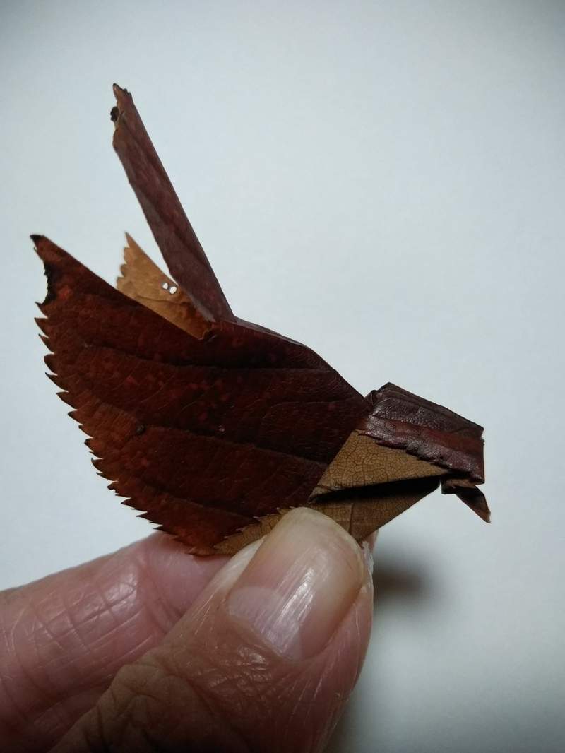 信手拈來就一隻《將落葉摺成可愛小麻雀》推友一雙巧手跟想像力真的很讚 信手拈來就一隻《將落葉摺成可愛小麻雀》推友一雙巧手跟想像力真的很讚