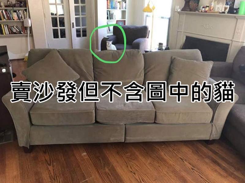 怪奇商行真的有《珍奇商品拍賣》什麼都有什麼都不奇怪是真的w 怪奇商行真的有《珍奇商品拍賣》什麼都有什麼都不奇怪是真的w