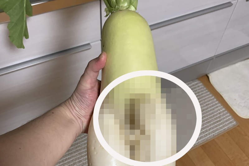 自帶巨根的《奇形大根》完全男體的下半身構造，料理過程看得男人都痛痛...ww