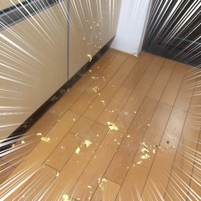 推特話題《失敗料理大賽》當料理之神放棄你時，連切個西瓜都可能失敗...ww