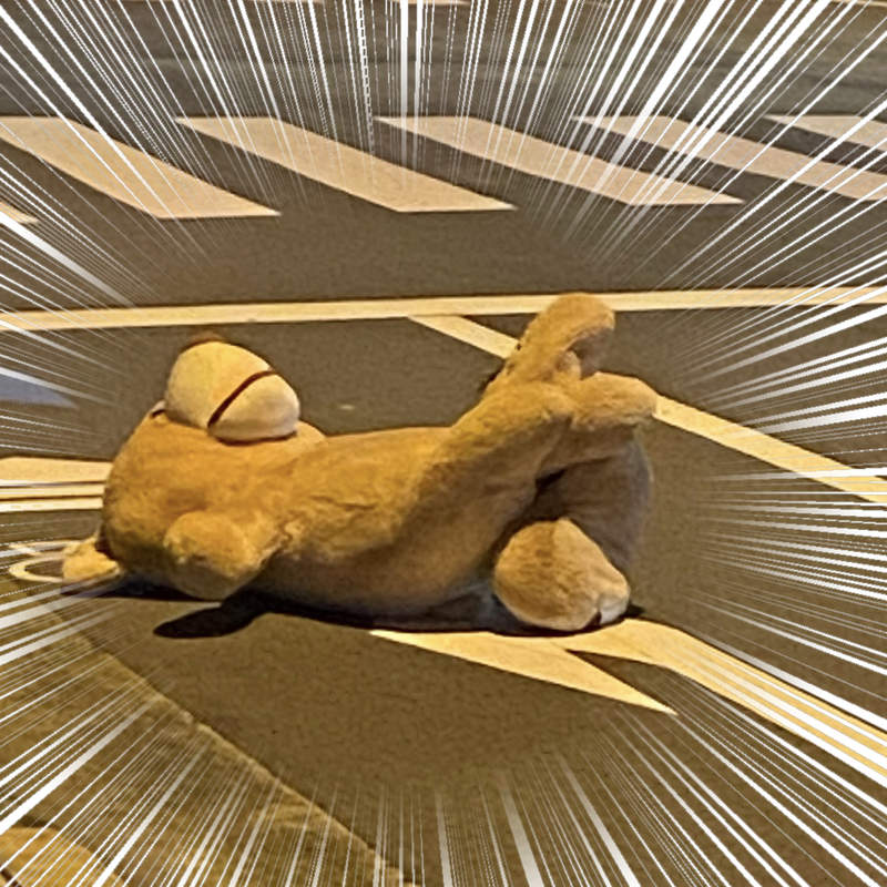 《路上撿到巨型玩偶熊》善心夫妻安置"走失大熊"經過引發推特瘋傳 《路上撿到巨型玩偶熊》善心夫妻安置"走失大熊"經過引發推特瘋傳