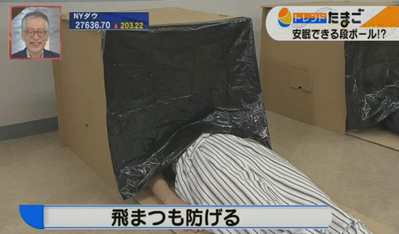 《防災簡易安眠紙箱》一分鐘輕鬆組裝簡便床鋪 最低限度的私密空間讓你安心入睡