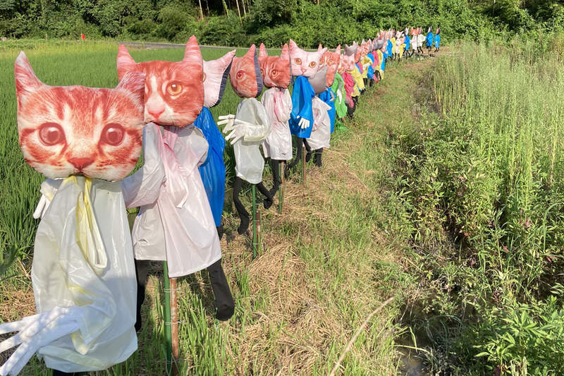 田邊驚見《貓的稻草人》一踏進這村落就會被變成貓頭稻草人的構圖(⊙_⊙) 田邊驚見《貓的稻草人》一踏進這村落就會被變成貓頭稻草人的構圖(⊙_⊙)