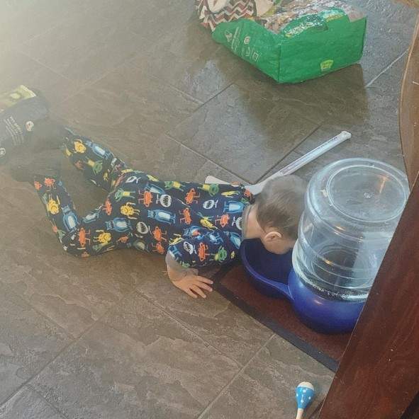 衝擊育兒景象《看著孩子津津有味的舔著寵物飲水器》底迪趕快站起來媽媽給你泡美祿啦 衝擊育兒景象《看著孩子津津有味的舔著寵物飲水器》底迪趕快站起來媽媽給你泡美祿啦