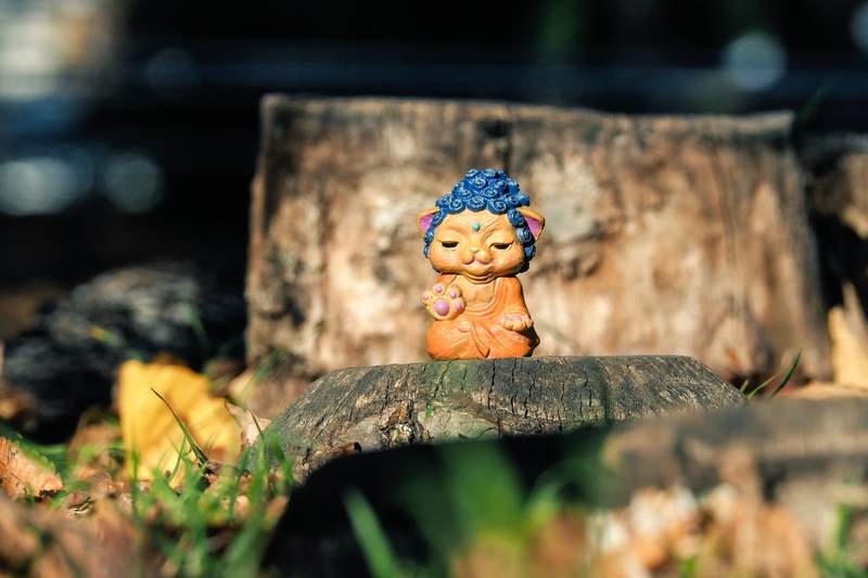 佛系轉彈《貓貓如來》又莊嚴又好笑,這樣的療癒小物超棒的 佛系轉彈《貓貓如來》又莊嚴又好笑,這樣的療癒小物超棒的