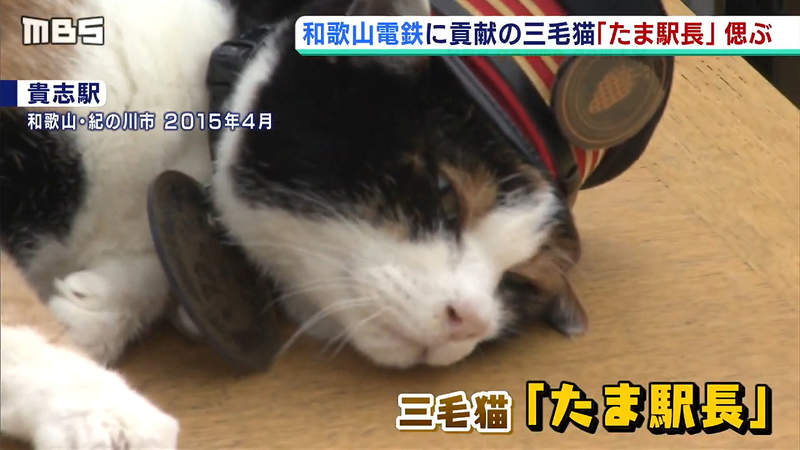 《小玉大明神鎮座５週年》小玉神社舉辦祈福大會 盼望疫情退散觀光客早日回來