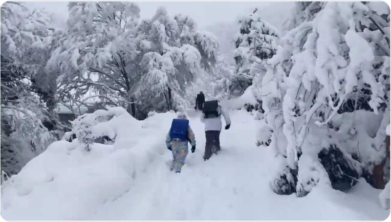【有片】日本降大雪《最艱辛的上學路》每走一步只更想放棄的孩子背影引發瘋傳