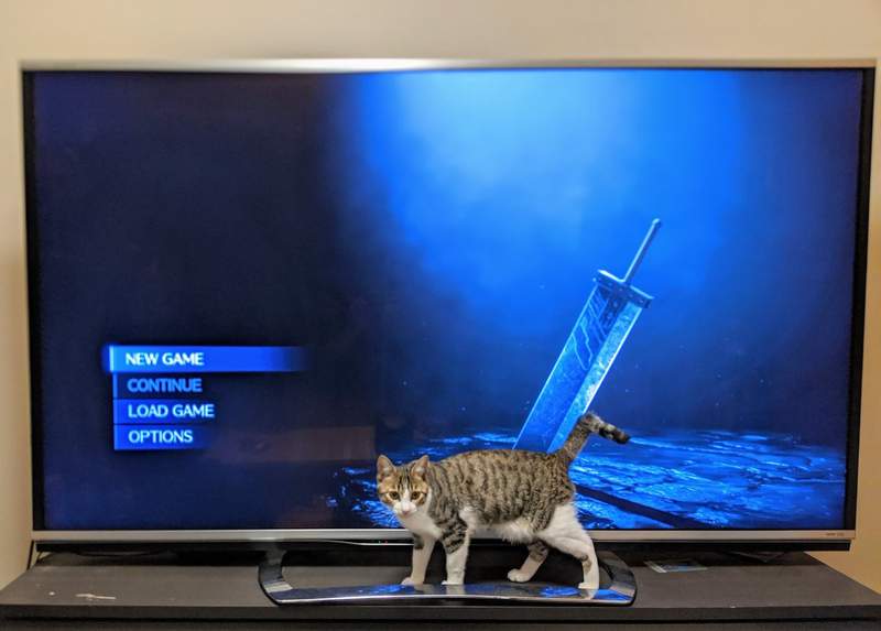 最終幻想7重製版《我家的貓被破壞劍插惹》網友有趣的心得PO圖分享