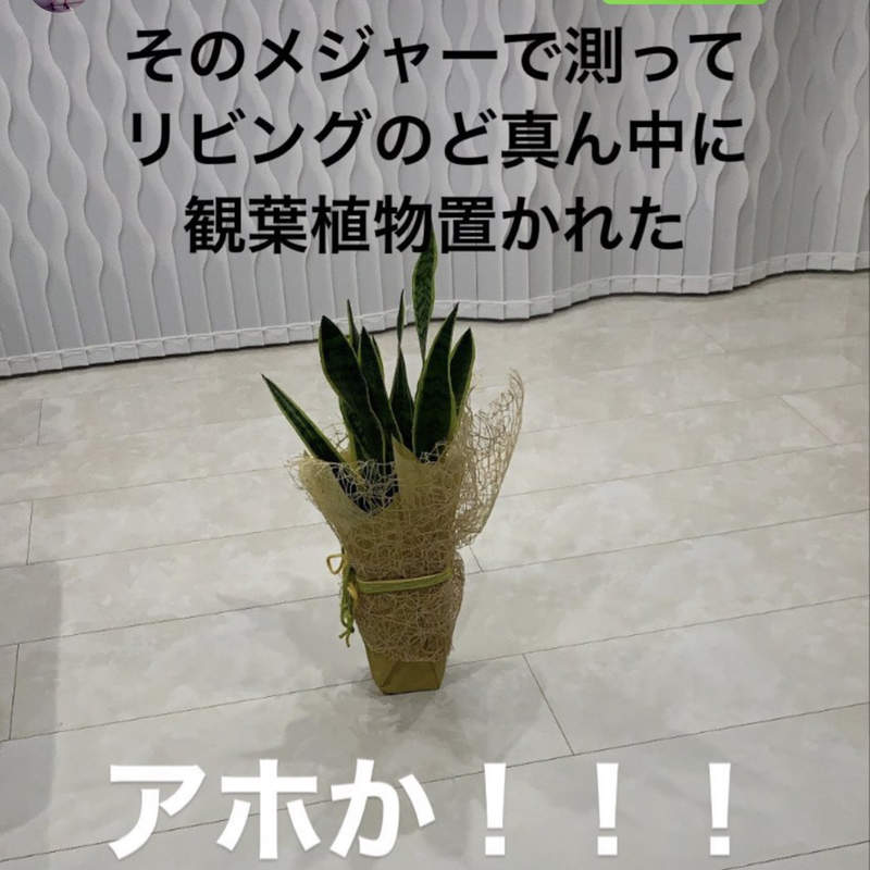 《媳婦抱怨婆婆的舒壓限動》連人家家裡風水都要干涉的強勢婆婆引發推特話題 《媳婦抱怨婆婆的舒壓限動》連人家家裡風水都要干涉的強勢婆婆引發推特話題