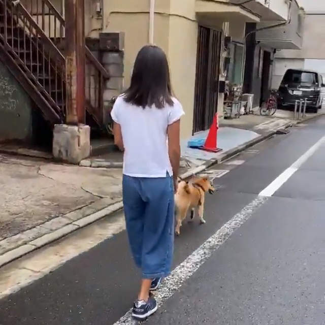 女兒開發《懶人遛狗法》從此再也不會帶狗散步人比狗累,讓你完全不費力ww 女兒開發《懶人遛狗法》從此再也不會帶狗散步人比狗累,讓你完全不費力ww