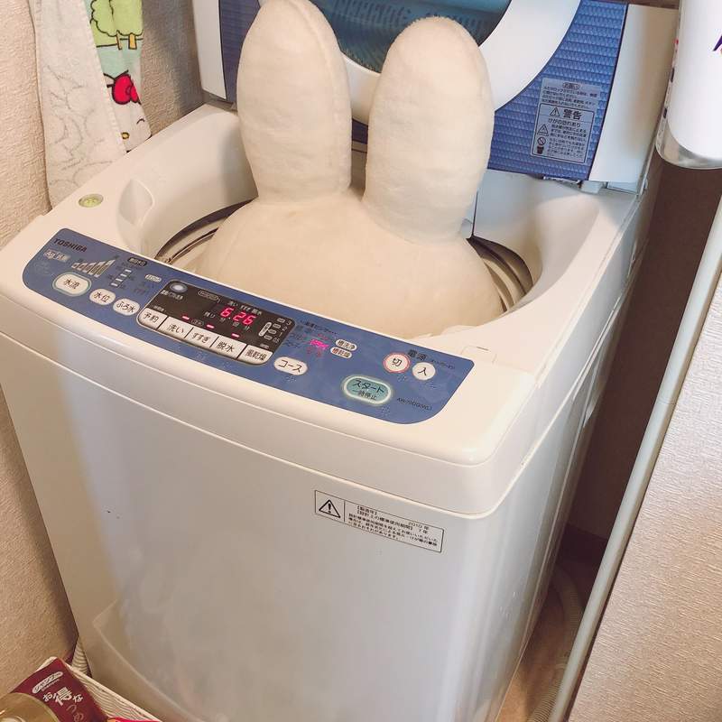 老公求救《大型玩偶的洗法》尺寸超越洗衣槽的大隻米飛兔，究竟要怎麼洗才是正解？