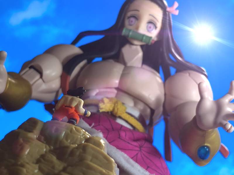 惡搞鬼滅之刃《肌肉版禰豆子》有這樣的妹妹那變成哥哥需要保護了吧 惡搞鬼滅之刃《肌肉版禰豆子》有這樣的妹妹那變成哥哥需要保護了吧