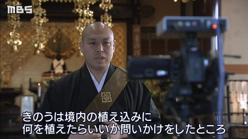 《寺廟推廣線上參拜》祈求疫情平息又怕群聚感染?住持當起Youtuber連90歲信徒都大讚 《寺廟推廣線上參拜》祈求疫情平息又怕群聚感染?住持當起Youtuber連90歲信徒都大讚