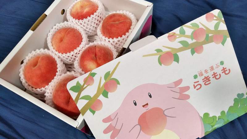 香甜多汁的《福島水蜜桃/らきもも》收到的那一刻就被包裝給萌到惹