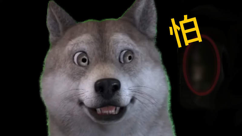 【慎入】閱覽注意《動物版靈異照片》其實照片超可愛的大家不用緊張 【慎入】閱覽注意《動物版靈異照片》其實照片超可愛的大家不用緊張