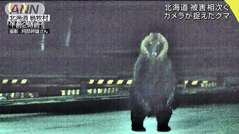 《北海道島牧村獵熊爭議》村議會大砍獵人出動費 獵友會罷工讓村民只能自求多福 《北海道島牧村獵熊爭議》村議會大砍獵人出動費 獵友會罷工讓村民只能自求多福