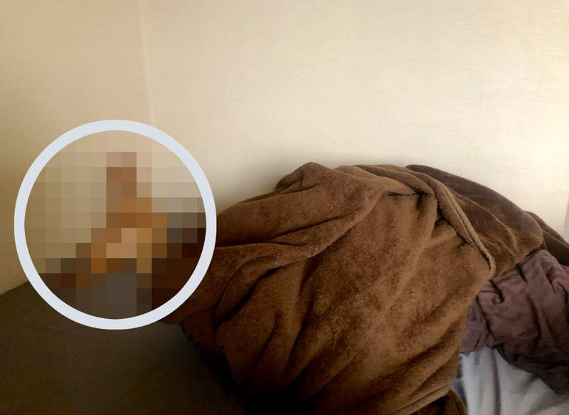 在家上班受貓干擾《持續無視貓討拍的結果》第一次看到貓也有自暴自棄的時候ww