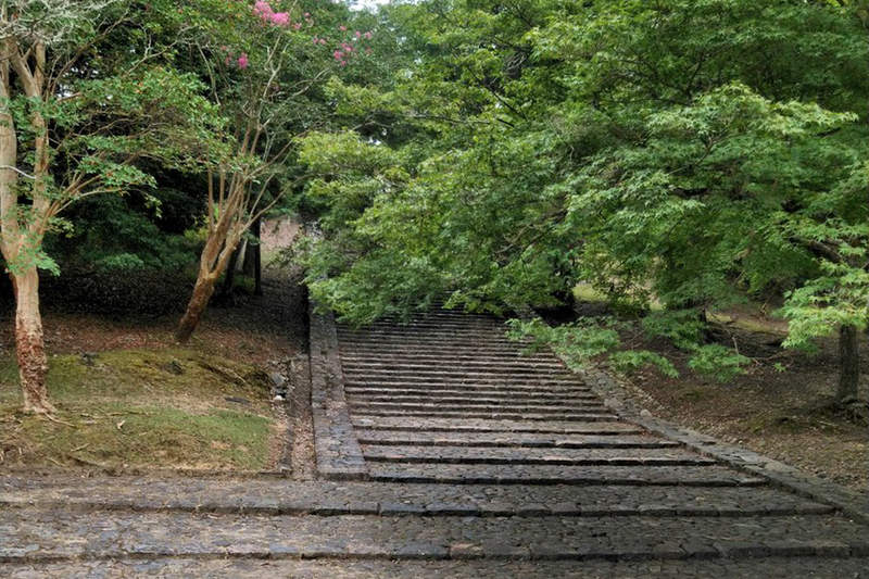 東大寺《貓坂》傳說摔下階梯就會變成貓,現場一看才發現想變貓果然沒那麼容易... 東大寺《貓坂》傳說摔下階梯就會變成貓,現場一看才發現想變貓果然沒那麼容易...