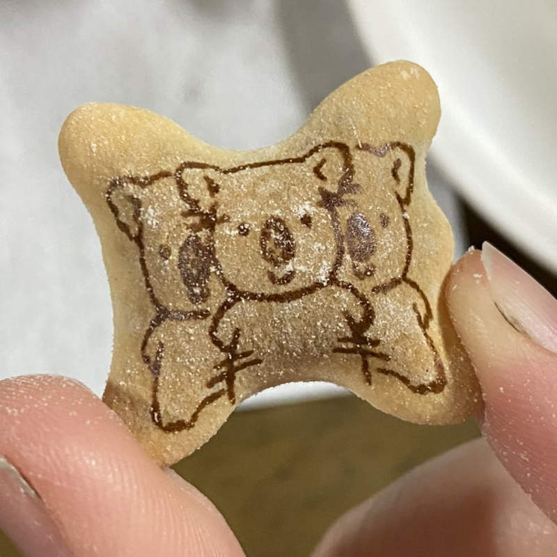 殘像？《樂天小熊餅乾》從沒看過的無尾熊狀態，原來是2020年的最新圖案★