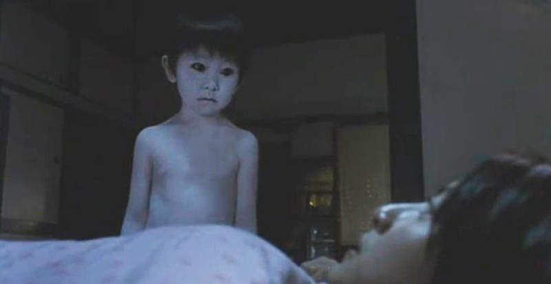 《咒怨》讓貓奴羨慕的一幕　明明是恐怖片為什麼被貓奴視為幸福空間呢？