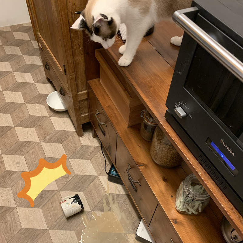 告別被貓打翻杯子的日子《貓奴自製馬克杯保護裝置》結果只是證明了人類注定輸給貓咪... 告別被貓打翻杯子的日子《貓奴自製馬克杯保護裝置》結果只是證明了人類注定輸給貓咪...