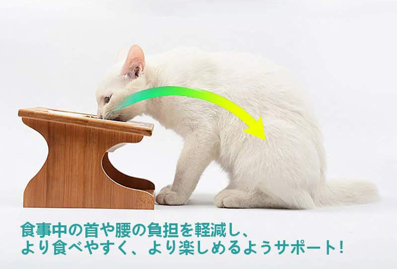 《買新餐桌給貓的結果》貓就是不會依照你理想的方式去使用你買的東西ww