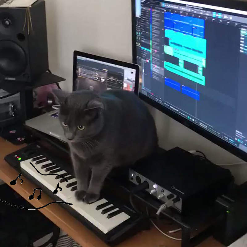 【音量注意】《貓的恐怖音樂大師》已經不是礙事與否的問題,而是真的很恐怖啊... 【音量注意】《貓的恐怖音樂大師》已經不是礙事與否的問題,而是真的很恐怖啊...