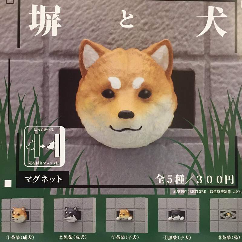 島原三柴扭蛋化《牆壁洞裡的柴犬》磁鐵轉蛋2月推出 島原三柴扭蛋化《牆壁洞裡的柴犬》磁鐵轉蛋2月推出