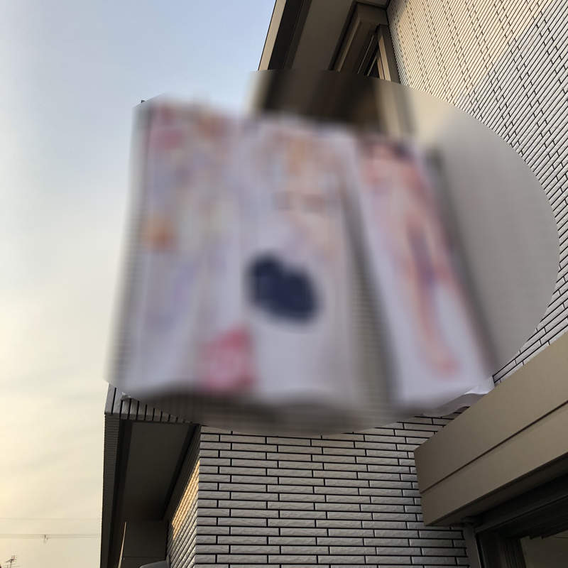 完全公開處刑《媽媽幫忙曬抱枕套的結果》如果推主突然消失應該就是被警察抓走惹...(欸) 完全公開處刑《媽媽幫忙曬抱枕套的結果》如果推主突然消失應該就是被警察抓走惹...(欸)