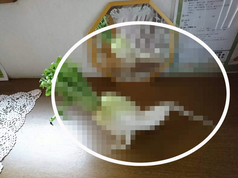 《伏地挺身的大根》全民瘋健身的時代,連蔬菜也加入運動的行列...ww 《伏地挺身的大根》全民瘋健身的時代,連蔬菜也加入運動的行列...ww